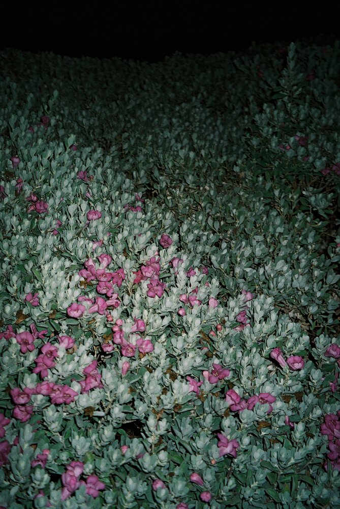 Photograph by Мария Иванова