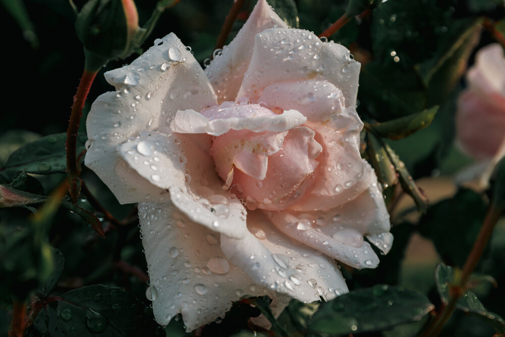 Photograph by Евгений