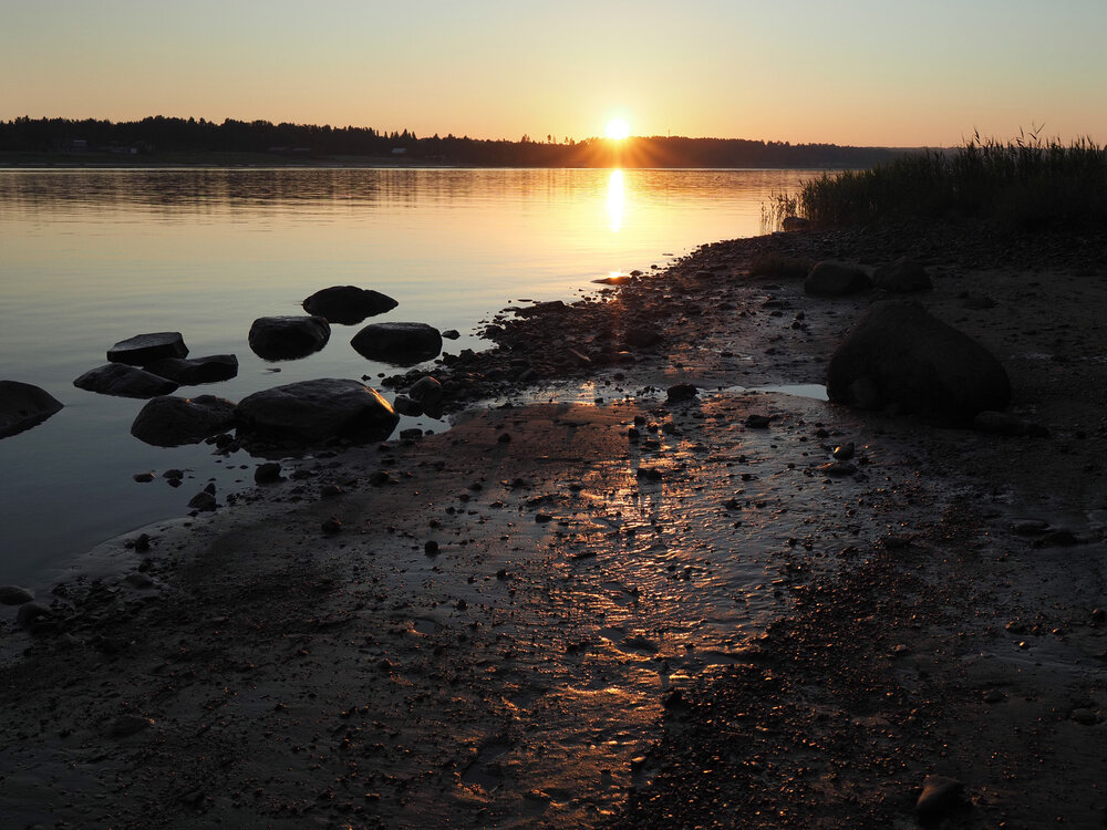 Photograph by Поляков Алексей