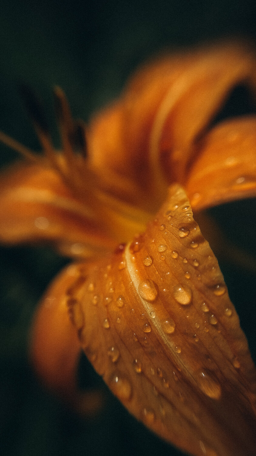 Photo #13865939