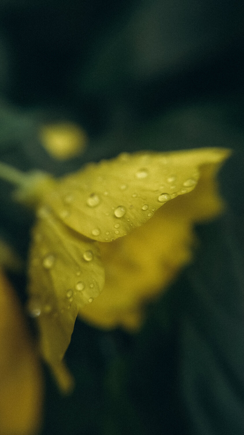 Photo #13865941