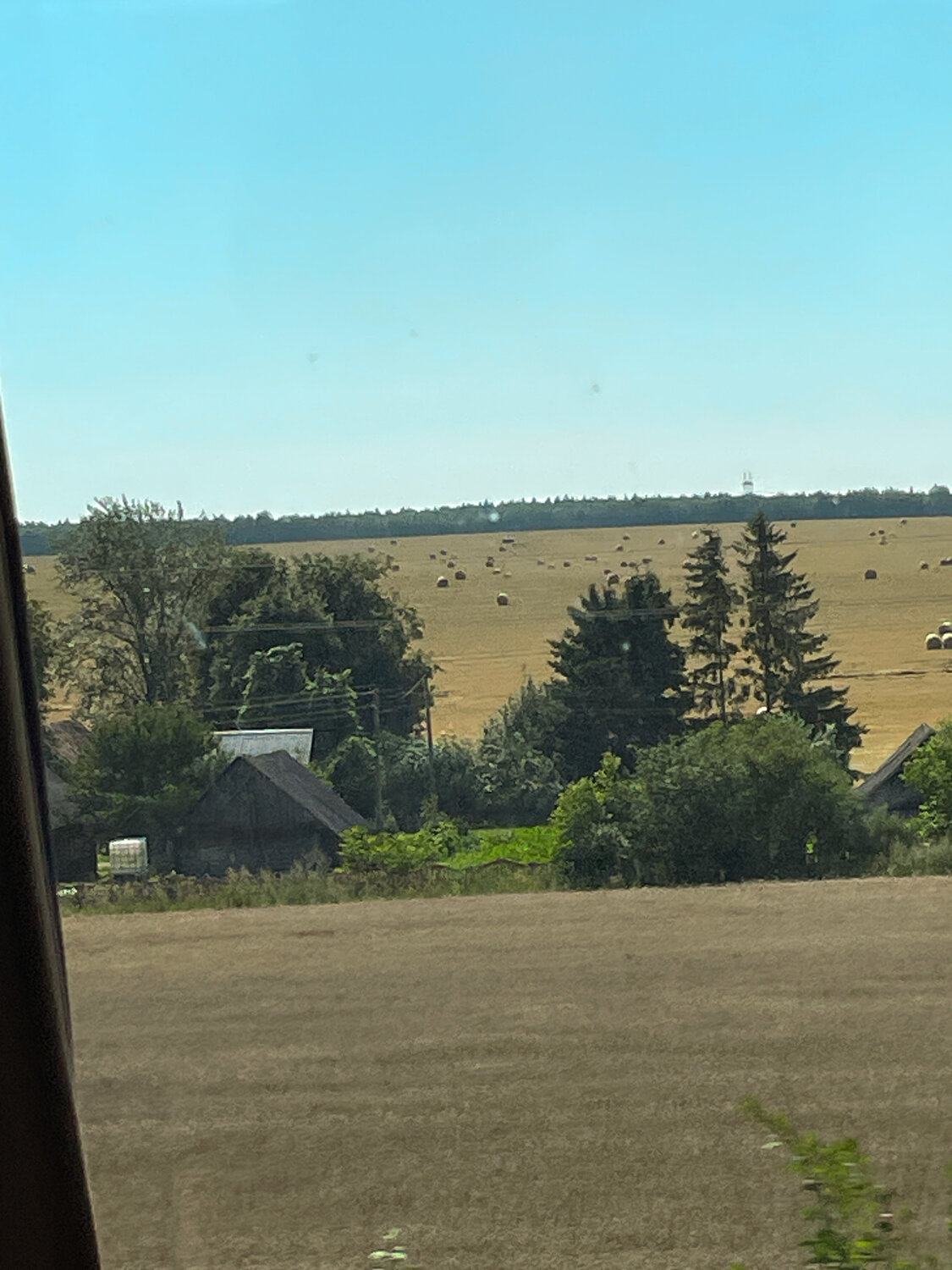 Photo #13865946