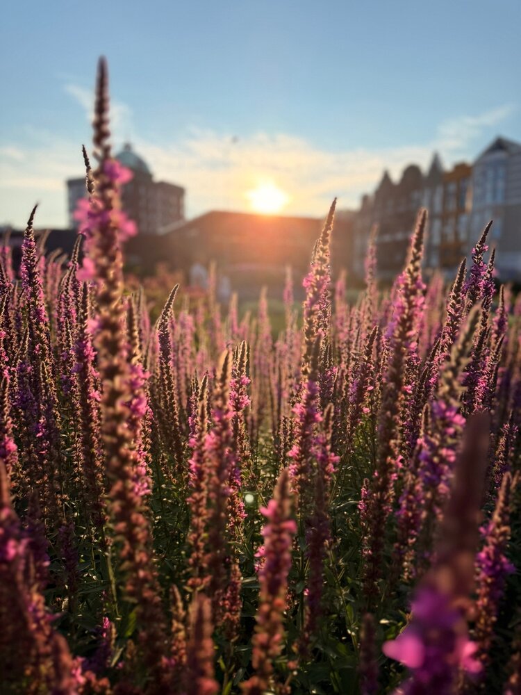 Photograph by Екатерина Краева