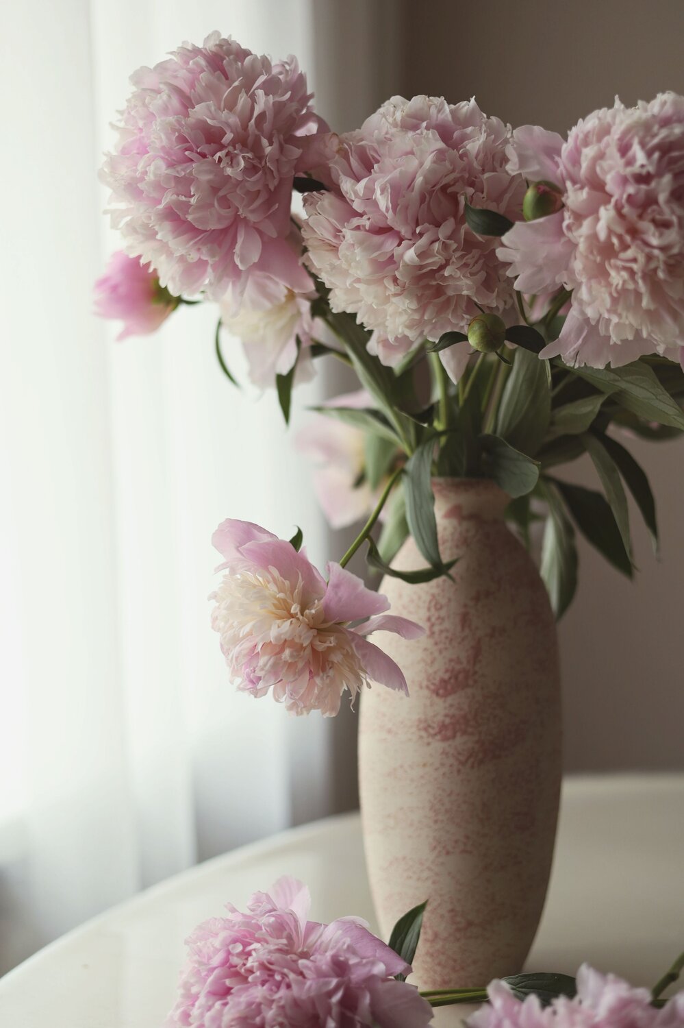 Photo #13866027
