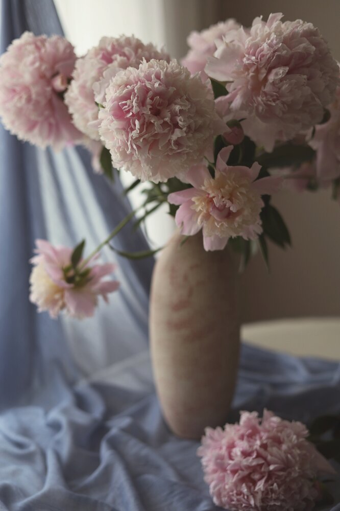 Photograph by Елена Хворостянская