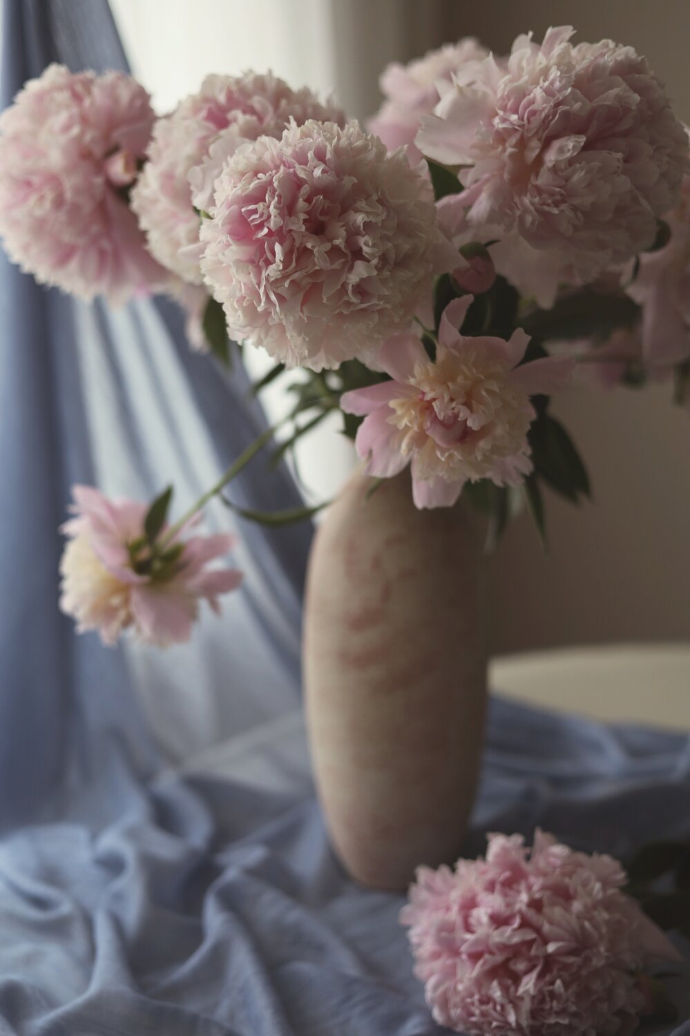 Photo #13866028