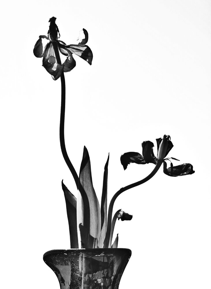 Photograph by Алена Лосева