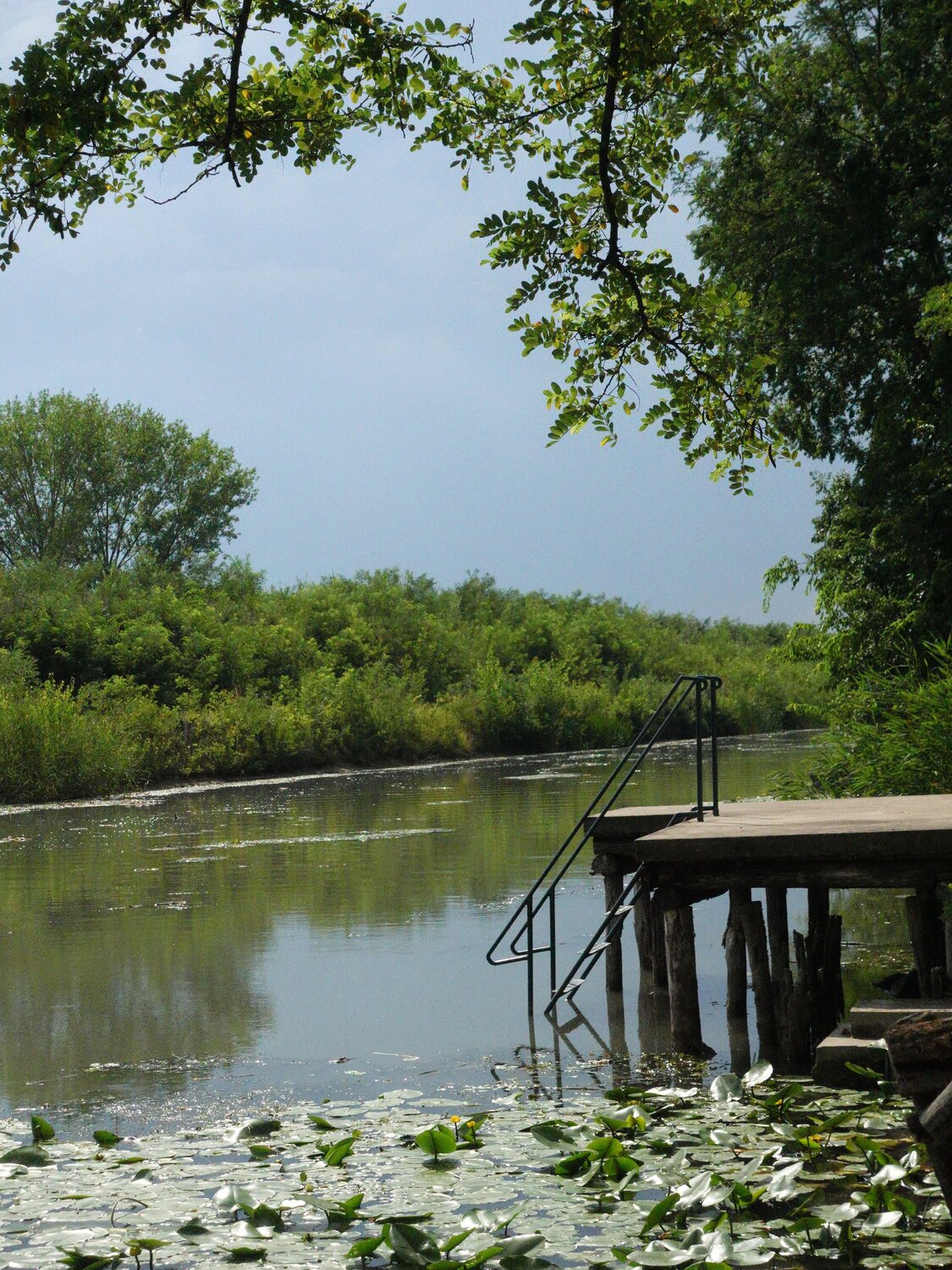 Photo #13866064