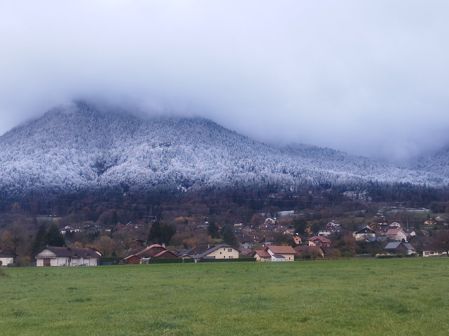 Photo #13866236