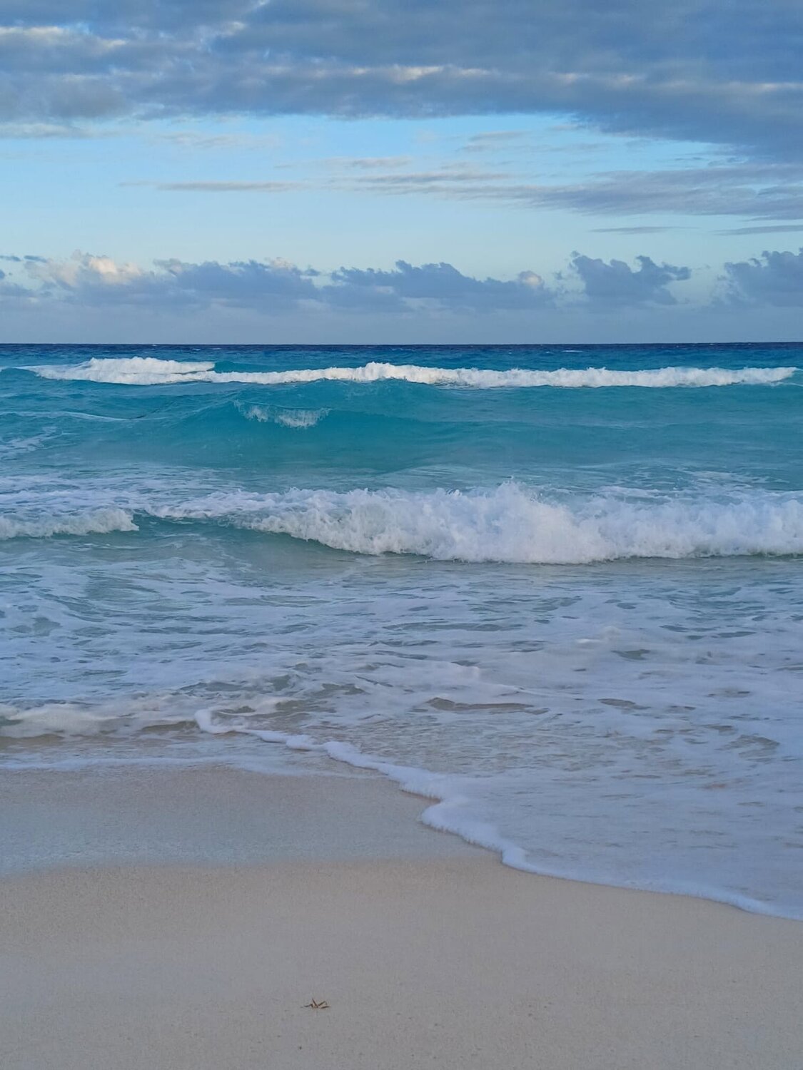 Photo #13866269