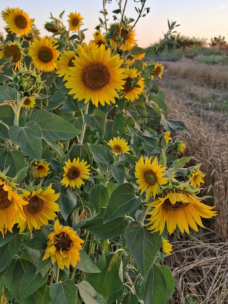 Photograph by Наталья Гаврилова