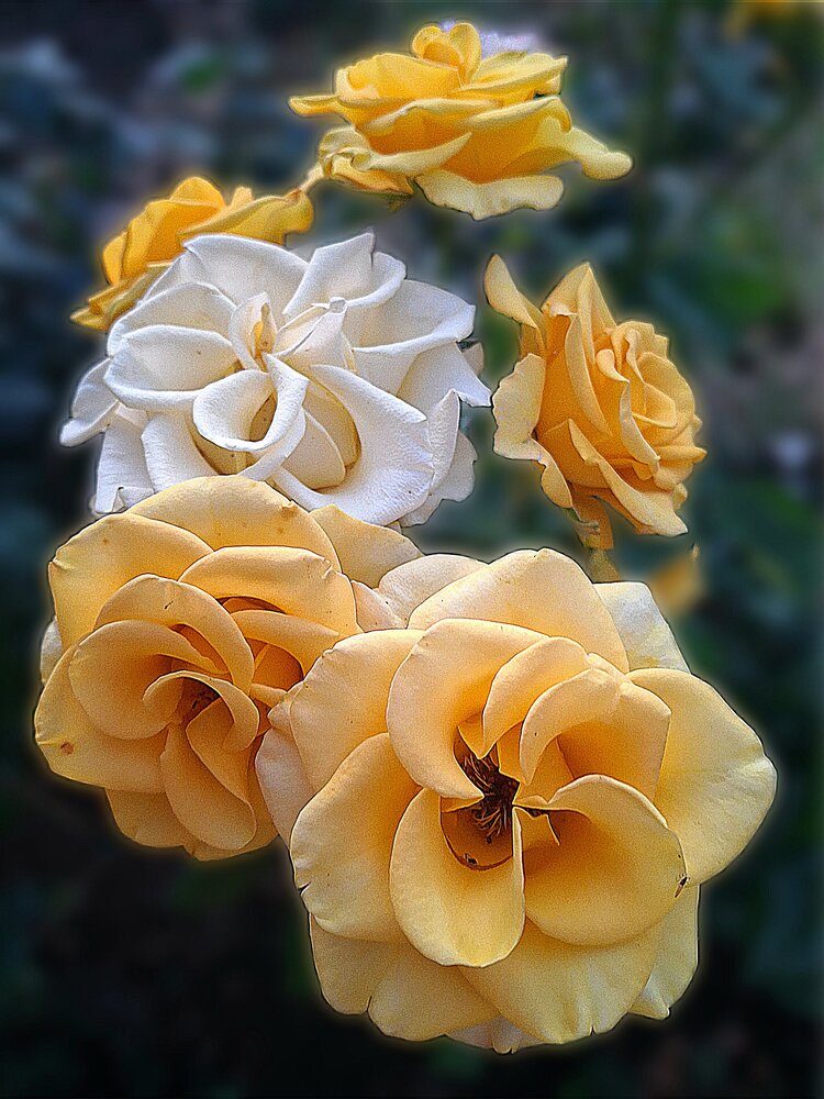 Photograph by Наталья Гаврилова
