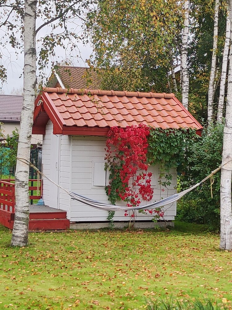 Photograph by Светлана Мищенко