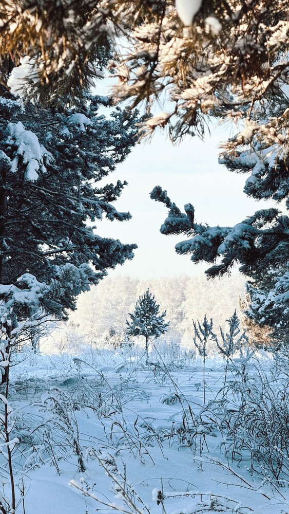 Photograph by Мария Смирнова