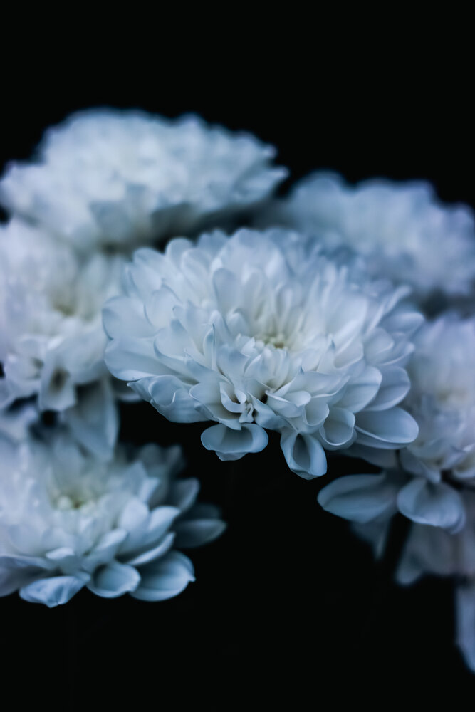 Photograph by TropTard