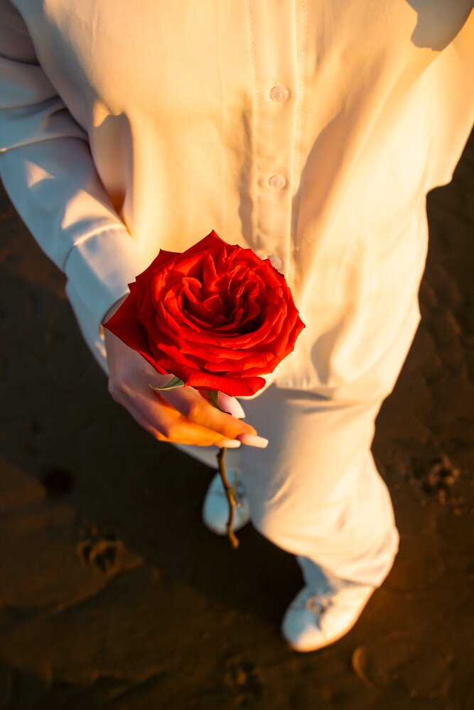 Photograph by TropTard