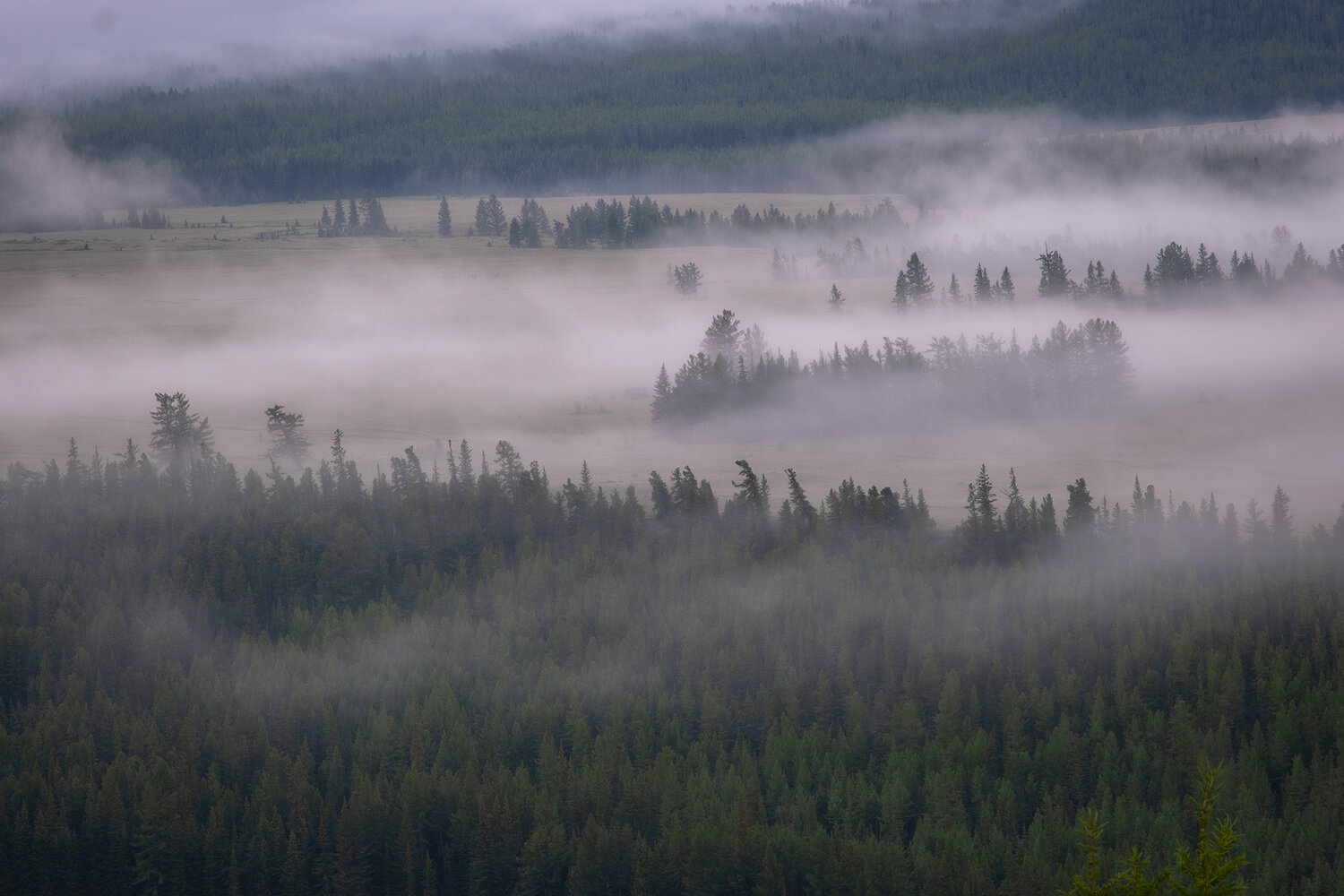 Photo #13866395