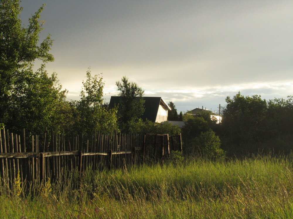 Photograph by Анастасия Хомякова
