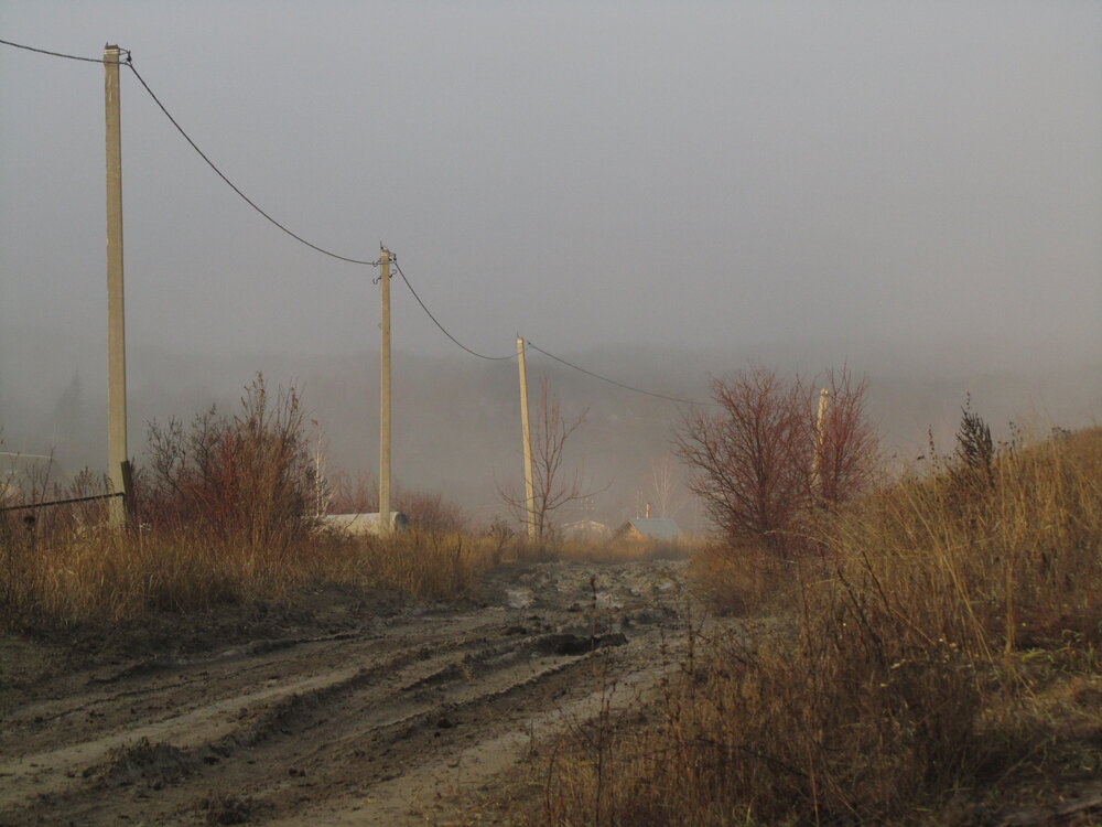 Photo #13866415