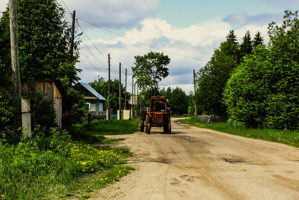 д. Плотниковы (Кировская область)