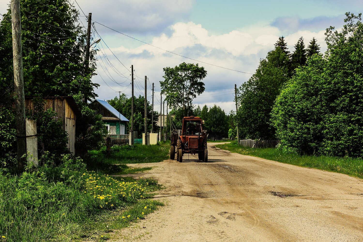 д. Плотниковы (Кировская область)