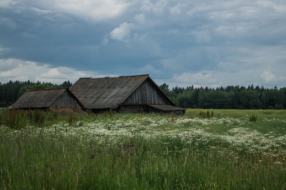 Photograph by Виктория Трущенко