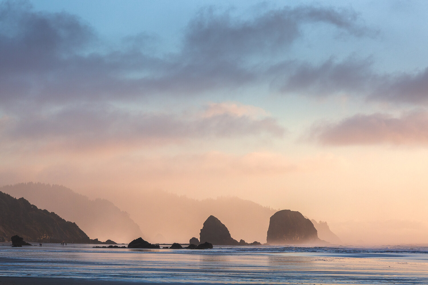Photo #13866453