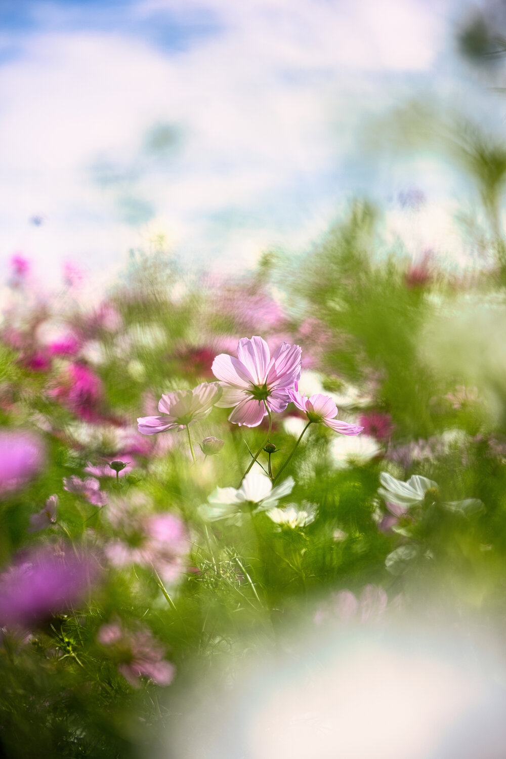 Photo #13866555