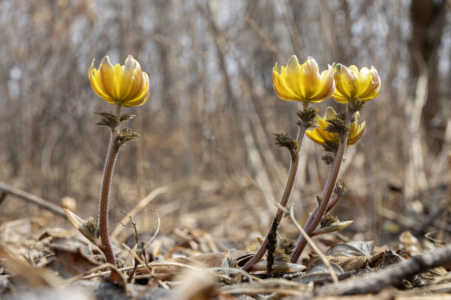 Photo #13866565