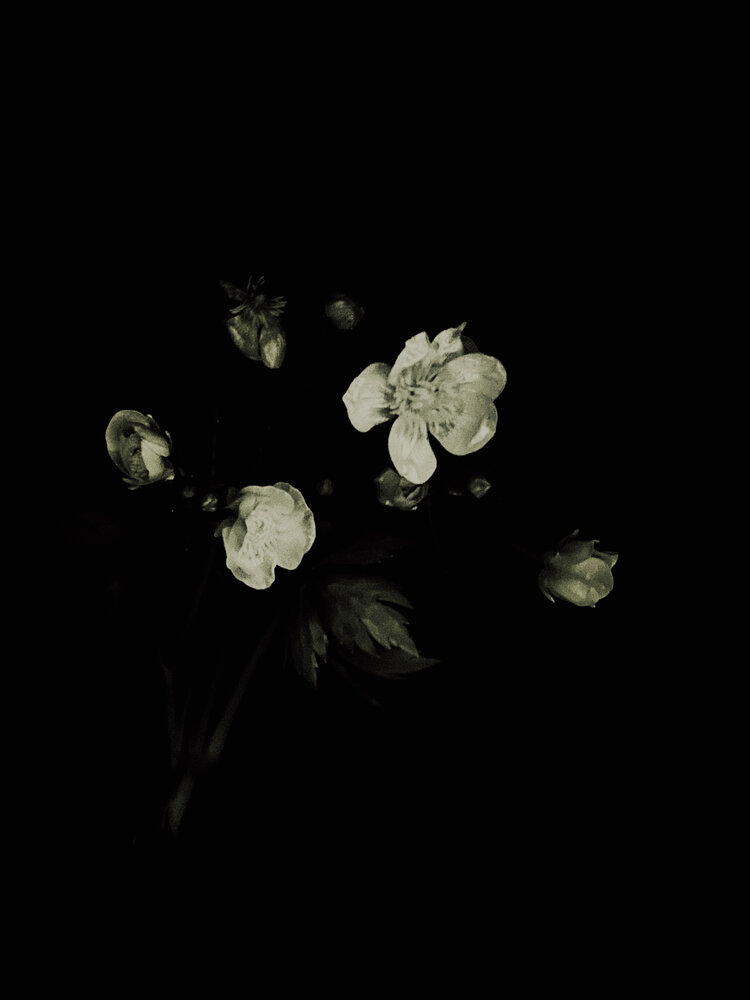 Photograph by Динара