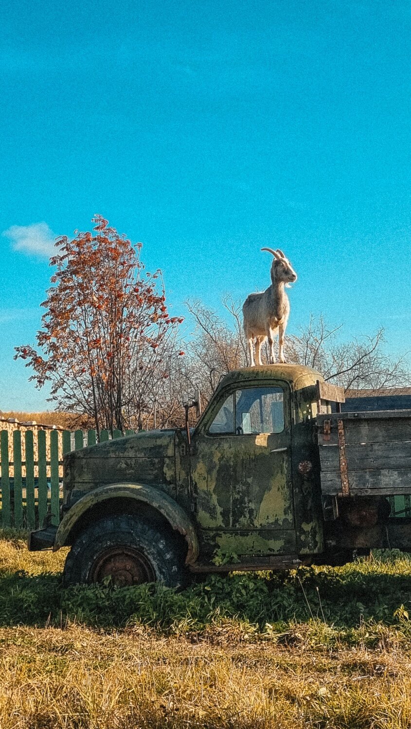 Photo #13866611