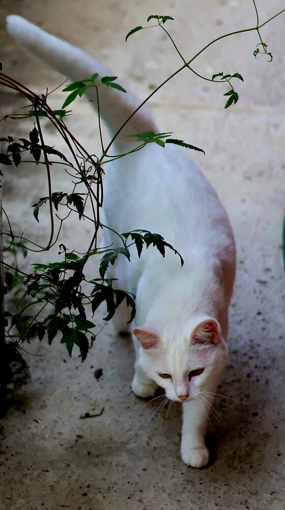 Photograph by Ирина Жукова