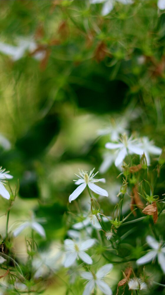 Photograph by Ирина Жукова