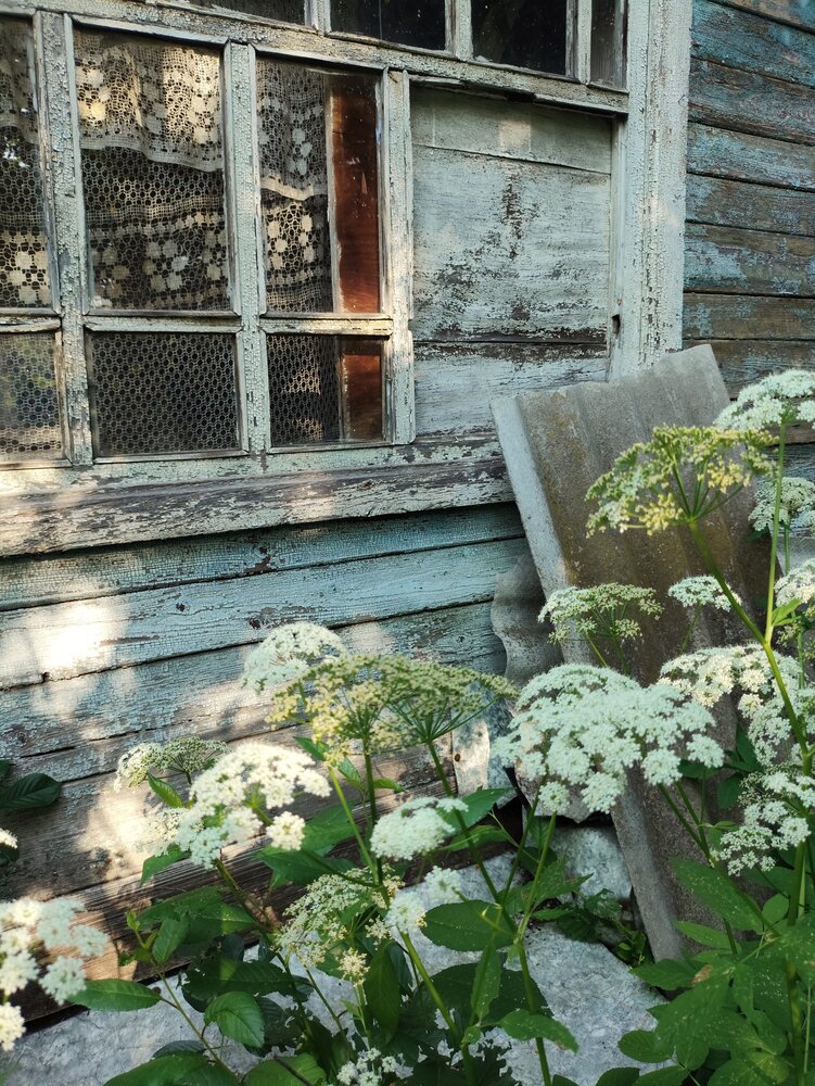 Photograph by Анна Александрова