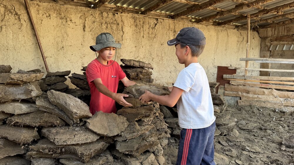 Helping Hands