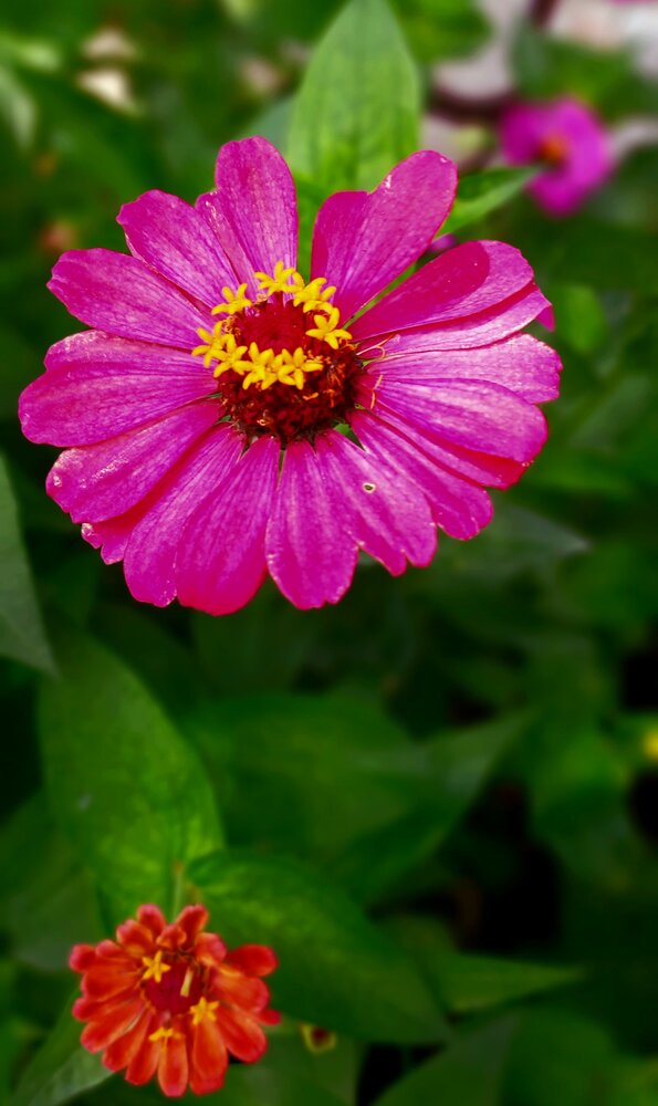 Photograph by Aravind M