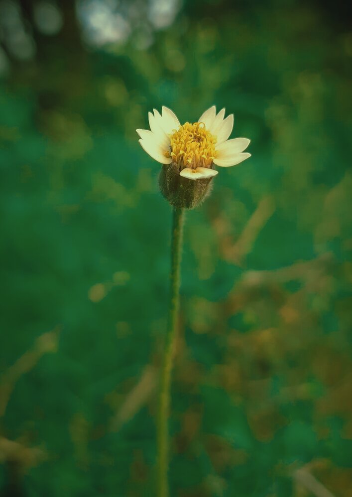 Photograph by Aravind M