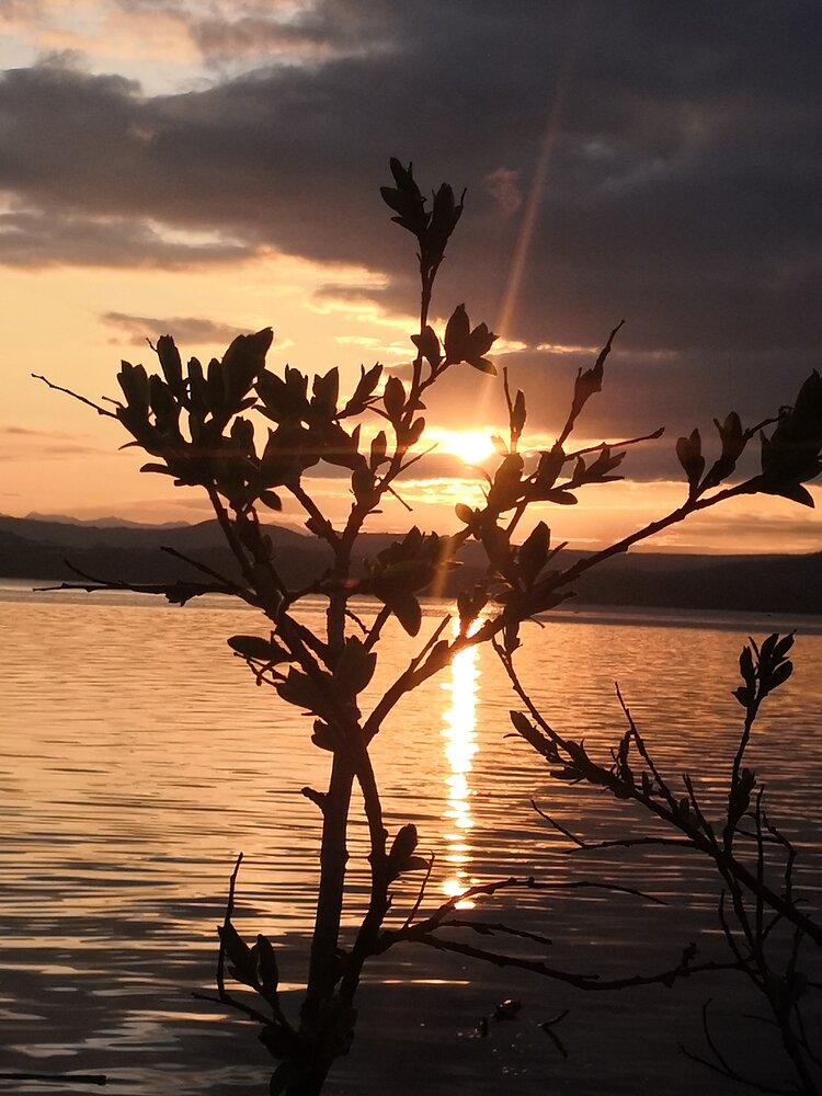 Photo #13866870