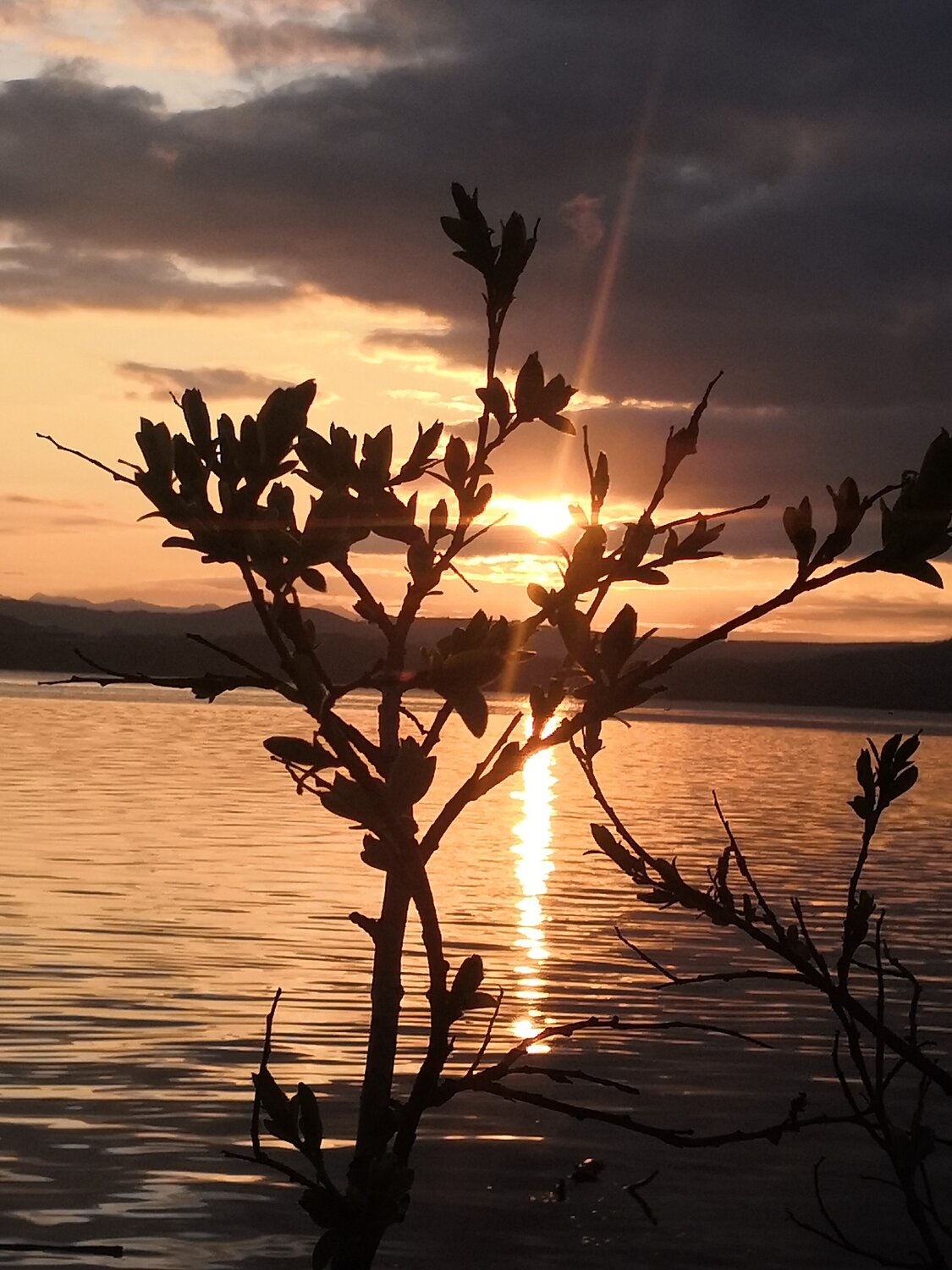 Photo #13866870