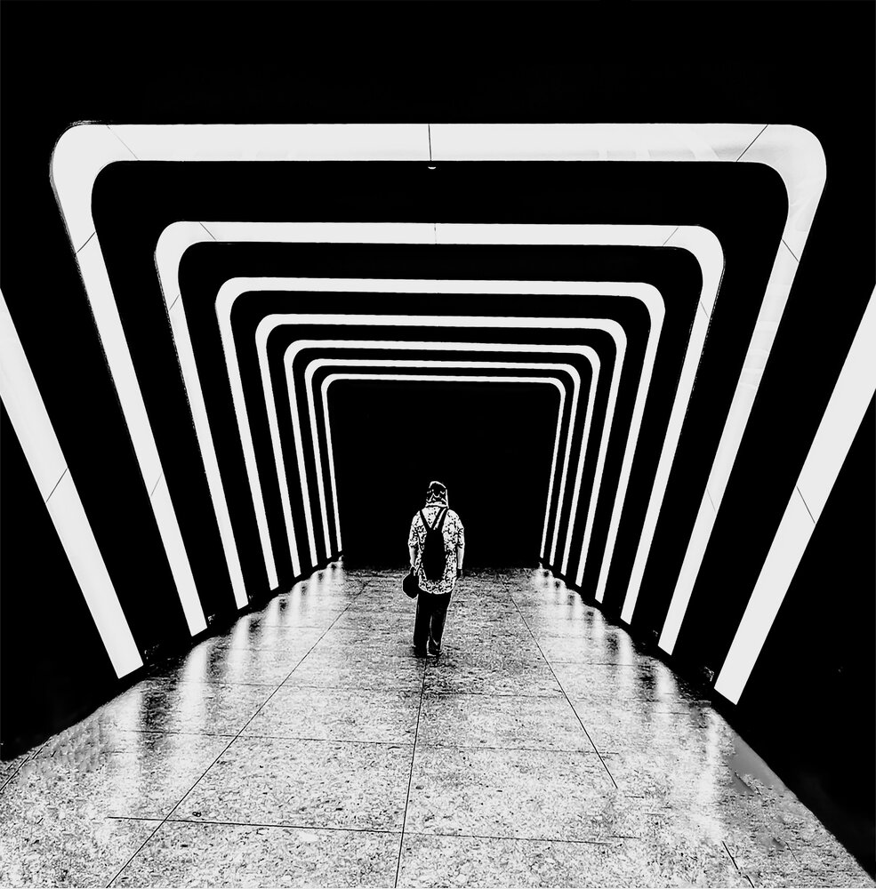 Photograph by Hamidreza zakeri