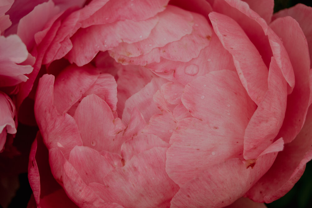 Photograph by Юлия Андреева