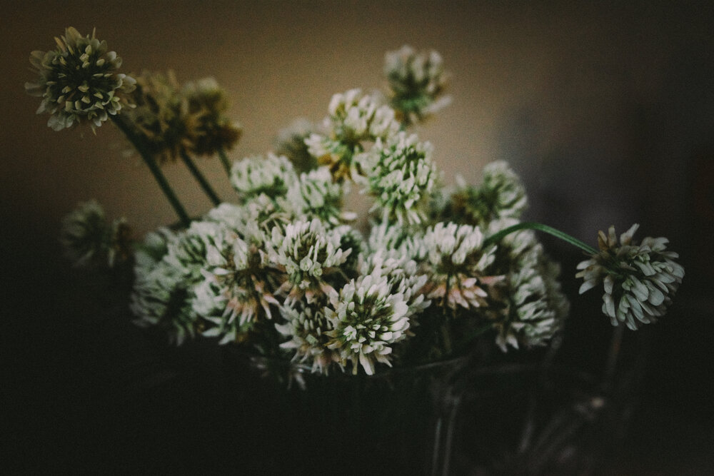 Photograph by Юлия Андреева