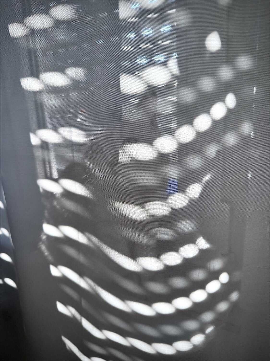 Photo #13867022