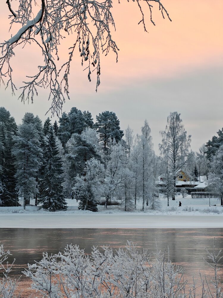 Photo #13867056