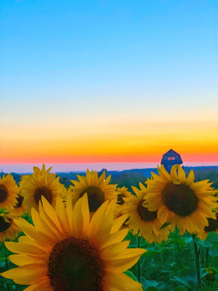 Photograph by Яна Лугинина