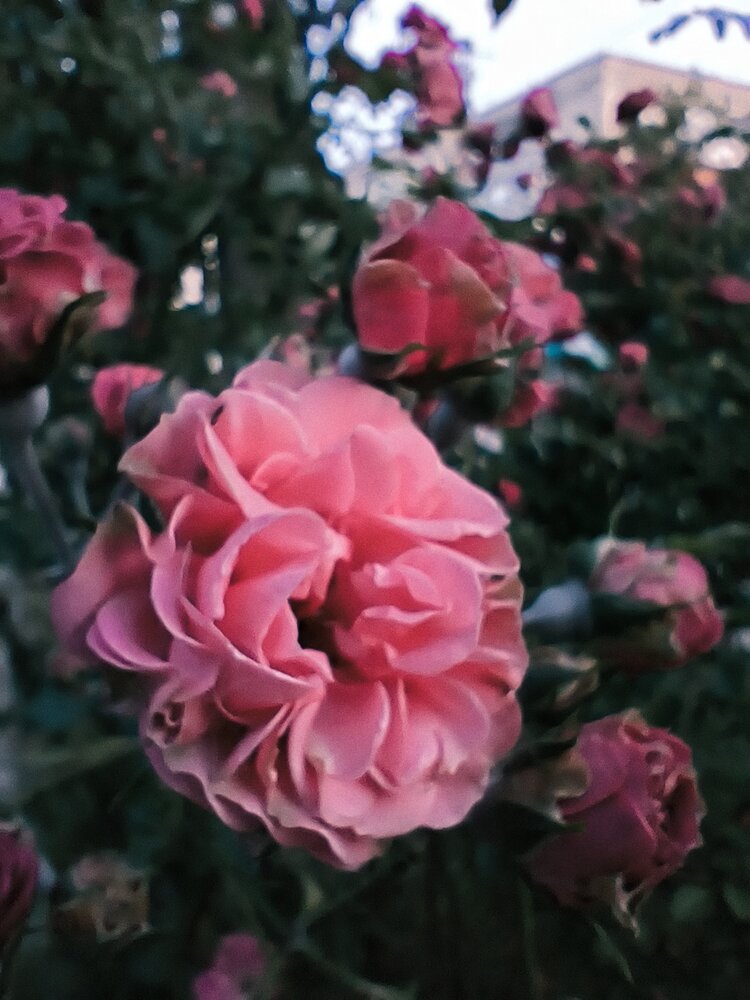 Photograph by Анастасия Смирнова