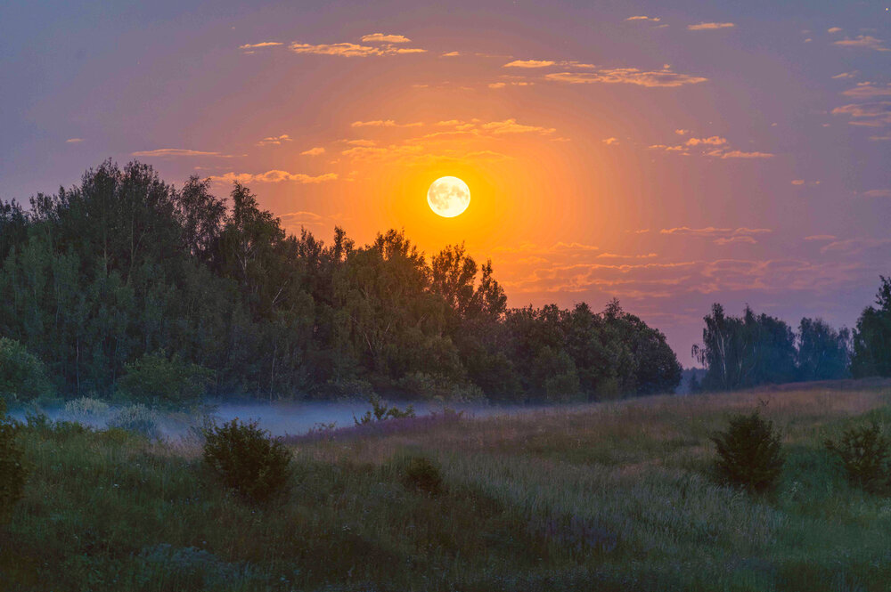 Photograph by Елена Ефимова