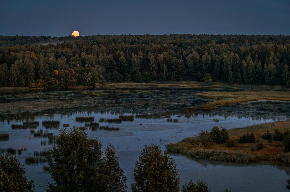 Photograph by Елена Ефимова