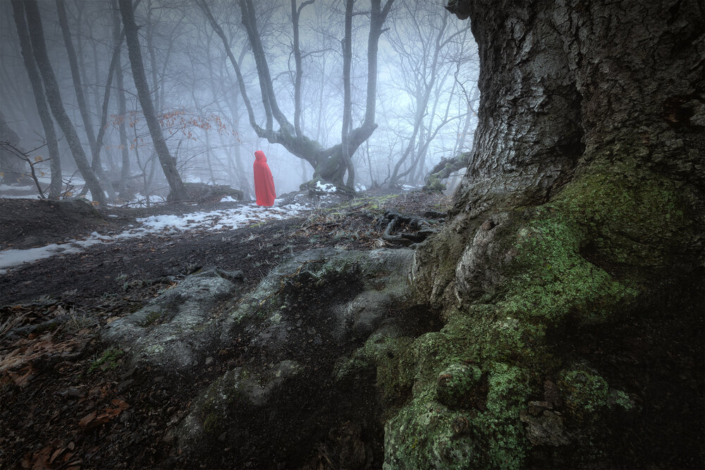 Photo #13867366
