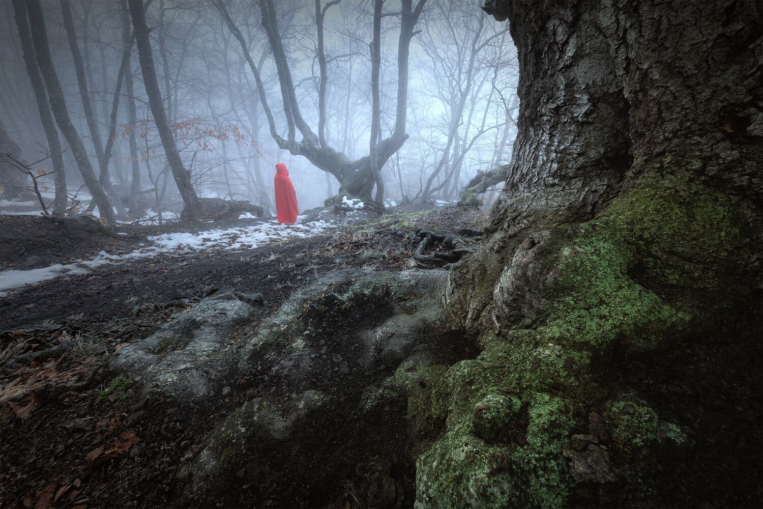 Photo #13867366